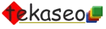 teaseo logo